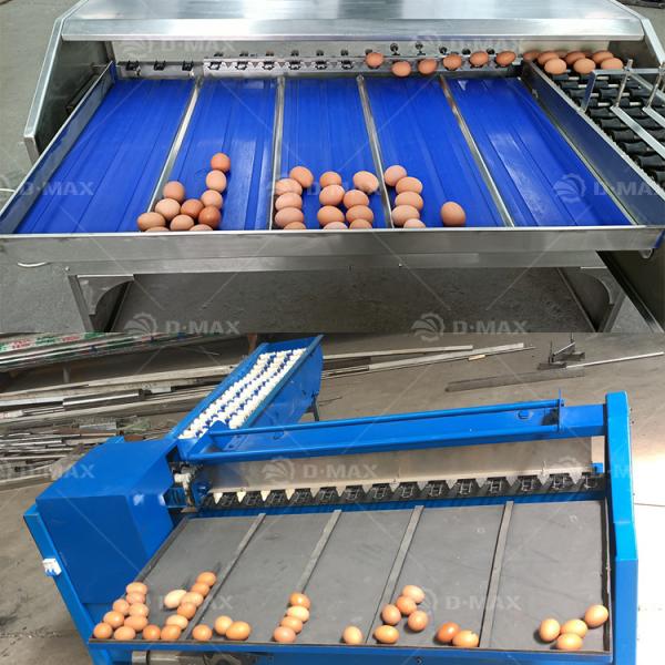 200W Automatic Egg Weight Sorting Machine for Small Scale Chicken Egg Classification