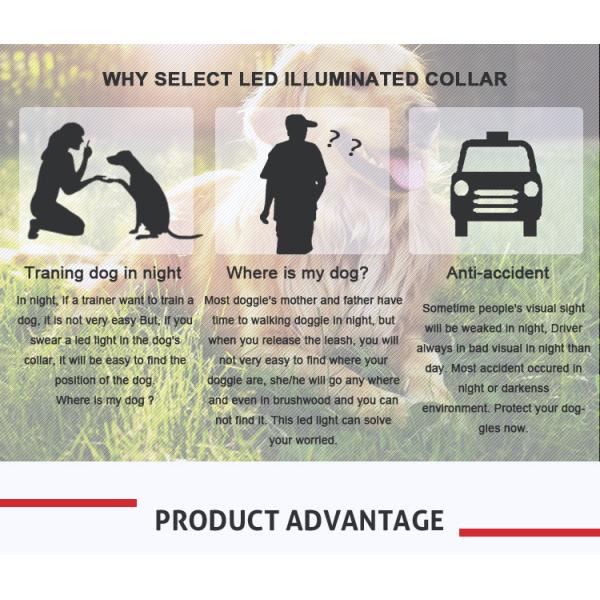 2018 waterproof night safety led light pet dog belt