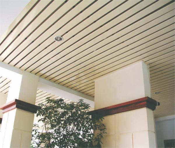 Straight / beveled Edge S - shaped Aluminium Strip Ceiling RAL color For airport