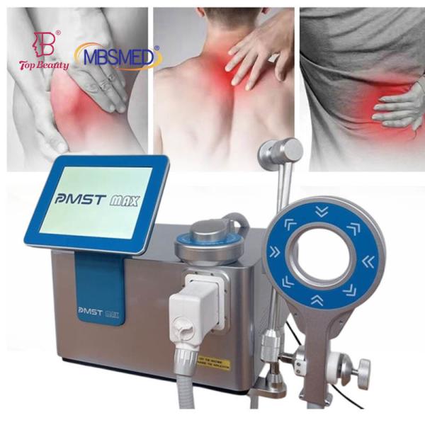 Pemf Mat Pulsed Electromagnetic Field Pemf Magnetic Therapy Mat Pmst Loop Pro Max For Human And Horse