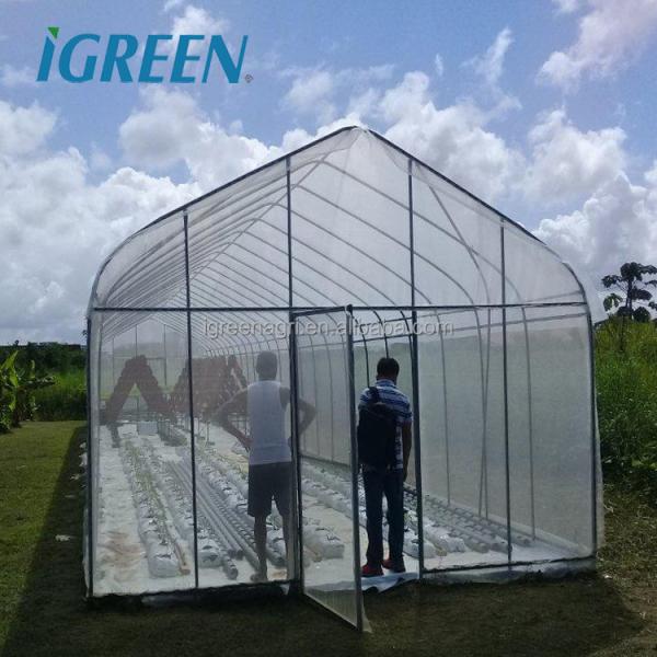 Vegetable Single Span Greenhouse Customized Small Outdoor Greenhouses IGreen