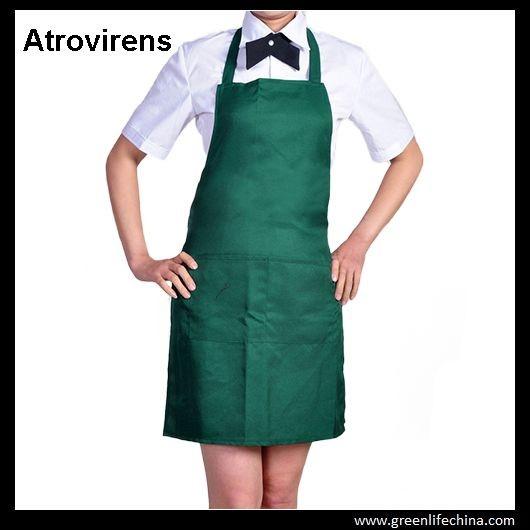 Atrovirens dark green fashion color advertising cheap good apron with 2pcs front pockets