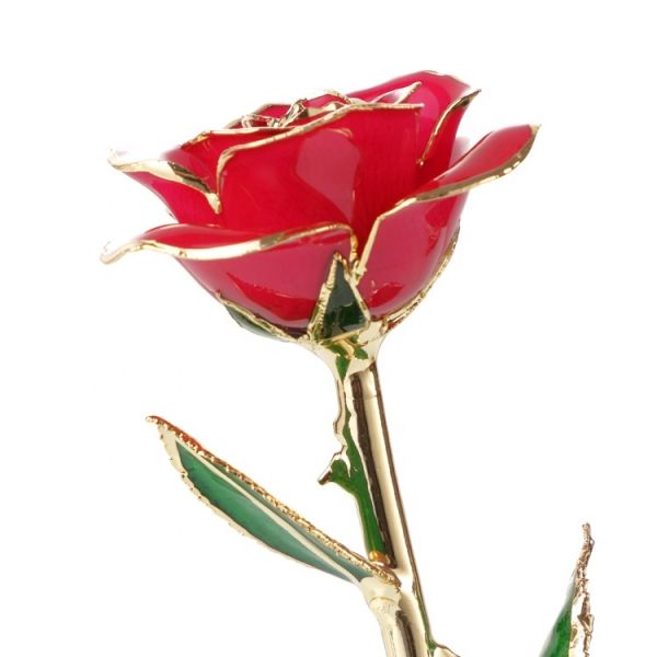 Wholesale  Gold Real Rose 24k Gold Plated Real Natural Rose for Valentine's Day and Christmas Gifts