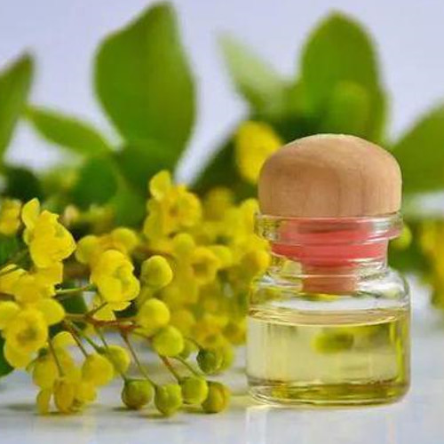 Immobilized Lipase Technology for Making Natural Flavor