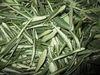 Olive Leaf Extract Oleuropein 10%-40% HPLC high quality, Hydroxytyrosol 25%,40%, natural cosmetic  ingredients