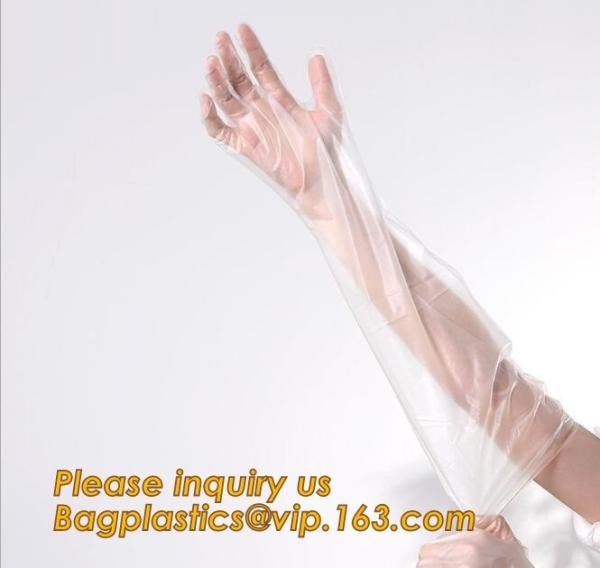 Household Cleaning, Eco- friendly, Biodegradable & Compostable, Medical Protective Disposable hand Gloves