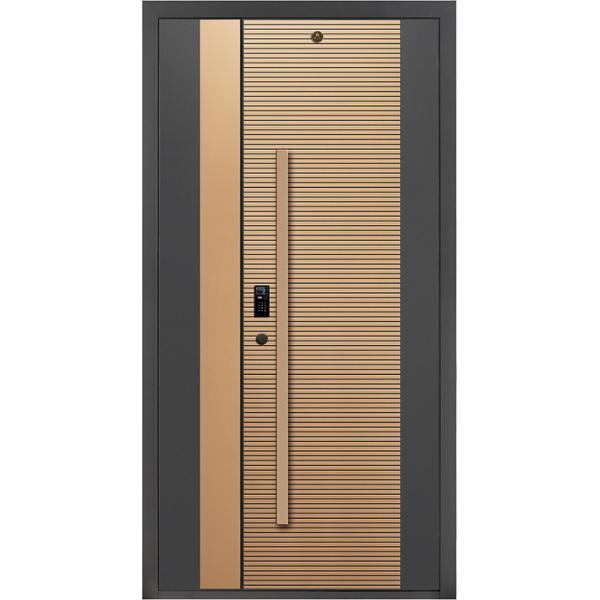 Modern Stainless Steel Entrance Door Exterior Door Smart Lock Front Door For House Gate