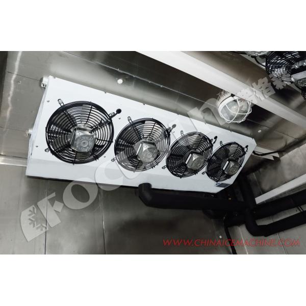 20ft Containerized Cold Room of Color Steel Plate and Bitzer Compressor Ready to Ship