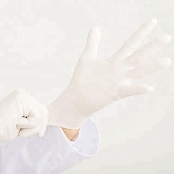 Professional Latex Disposable Medical Gloves / Nitrile Examination Gloves