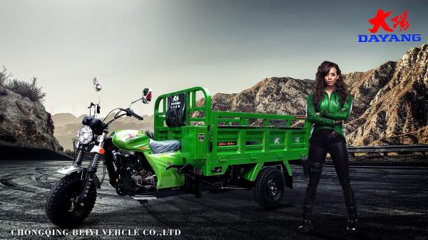 1000Kg Motorised Tricycle Three Wheel Cargo Motorcycle with 12V Electric and Kick Start