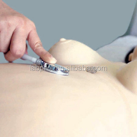 Advanced PVC Obstetrics Skills Training System for Childbirth Emergency Care and Nursing