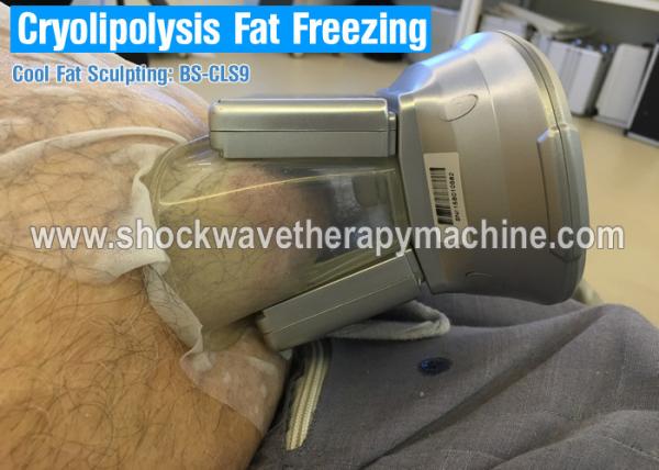 4 Handles Cryolipolysis Weight Loss Equipment Slimming Machine For Fast Fat Reduction