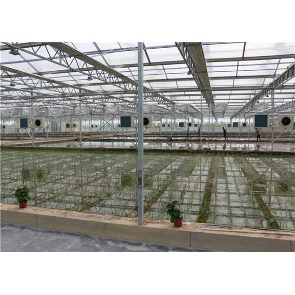 150 / 200mic Covering Plastic Film Greenhouse For Greenhouse Seedling Growing