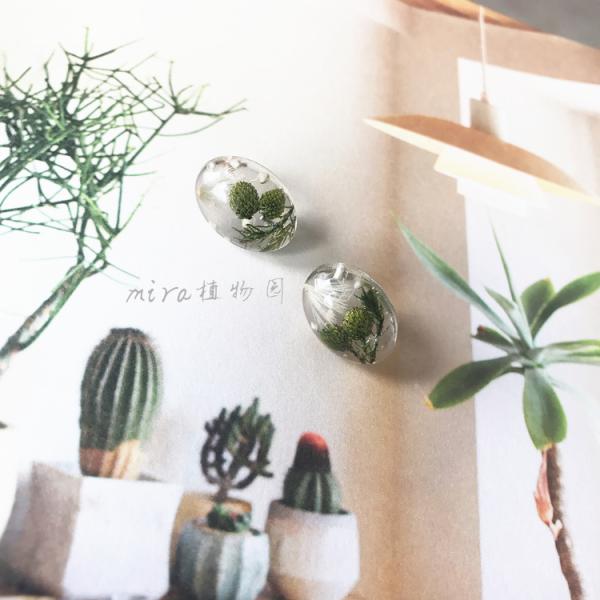 Forget-Me-Not Purple Earing Stud Cute Korea Style Women Loved Ball Earrings With Best Quality