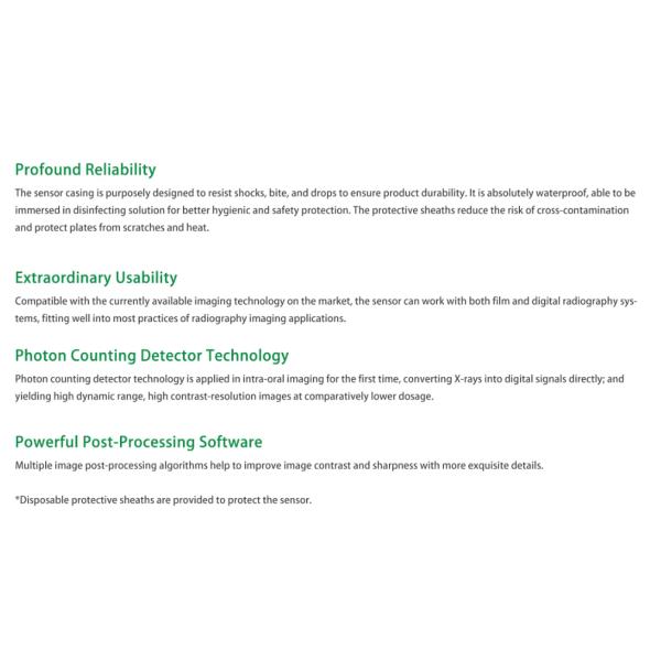 Factory price for the 21*21 rvg dental sensordental sensor digital dental x-ray FP12