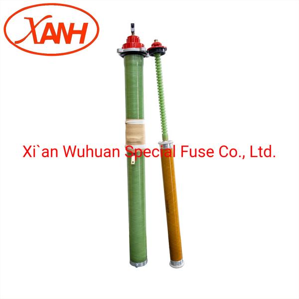 Oil Immersed Transformers High Voltage Fuse Overcurrent Protection Prnt4-15.5/40