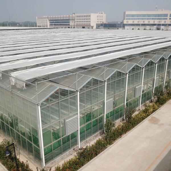 Conjunto completo de estufas agrícolas com esqueleto galvanizado e fácil de instalar