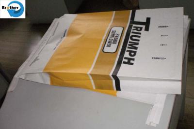Custom Printed 8kg Kraft Paper Laminated with PP Woven Charcoal Packing Bag, Paper Bag for Hardwood Lump Charcoal