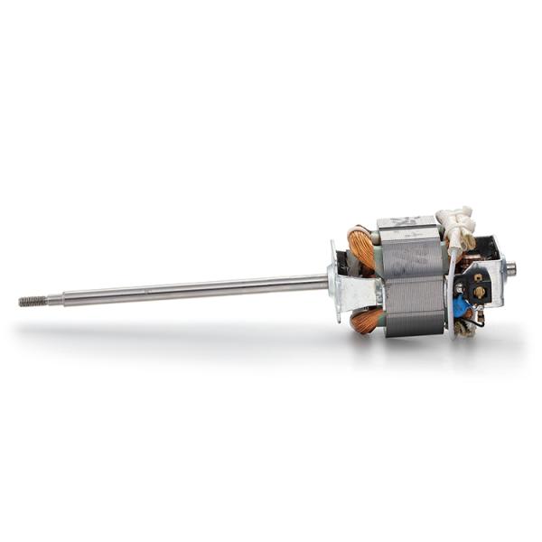 High Torque 110v 220v 100w 200w 300w AC Electric Motor for Treadmill Machine 10000rpm