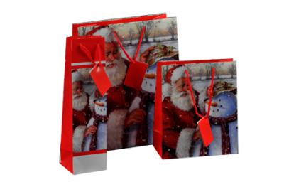 Chirstmas gift bag 03