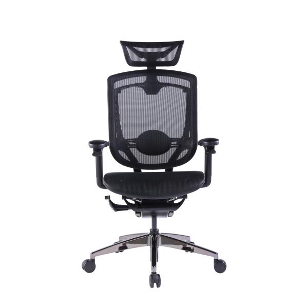 High Back Ergonomic Office Chair Marrit Black Computer Swivel Full Mesh