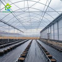 Rameur personnalisé Film plastique Agricole Poly Tunnel Serre multi-span À vendre