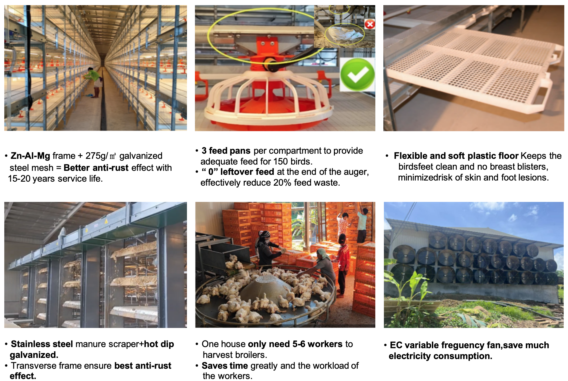 Multi Tier Automatic Harvesting Broiler Cage