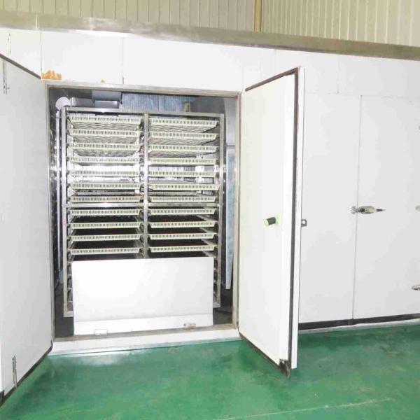 Energy Saving Grape Raisin Tray Dryer Machine 2000KG 40KW 90 Trays Dehydrator