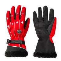 la batterie 3.7V rechargeable a chauffé le tissu de Lycra des femmes de Ski Mittens Heated Ski Gloves pour des sports en plein air d'hiver