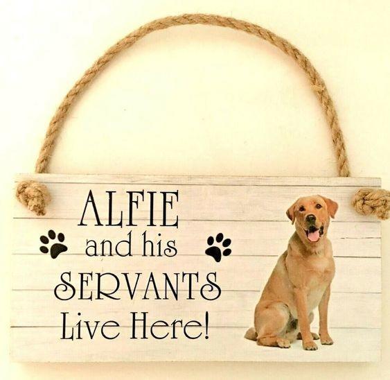 Decorative Paintig Wooden Wall Plaques Moisture Proof Customized Size