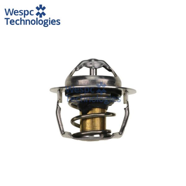 WESPC 145206120 145206170 145206180 145206181 145206182 Thermostat for Perkins