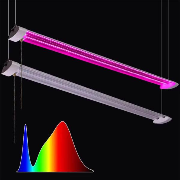 Customized T8 Split Lamp Tube LED Light Source in Pink Color for Project Installation