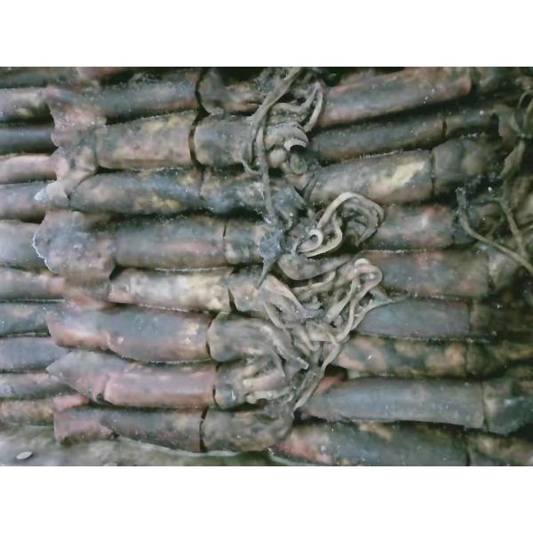 ISO2200/HACCP 80 - кальмар 150g BQF замороженный черный