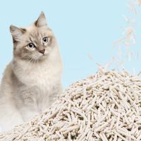 Thé vert poubelle pour chat à faible poussière poubelle pour chat à haute densité
