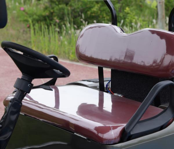 Véhicule utilitaire de 2 places Voiture de golf 30 km/h Automatique léger électrique à batterie