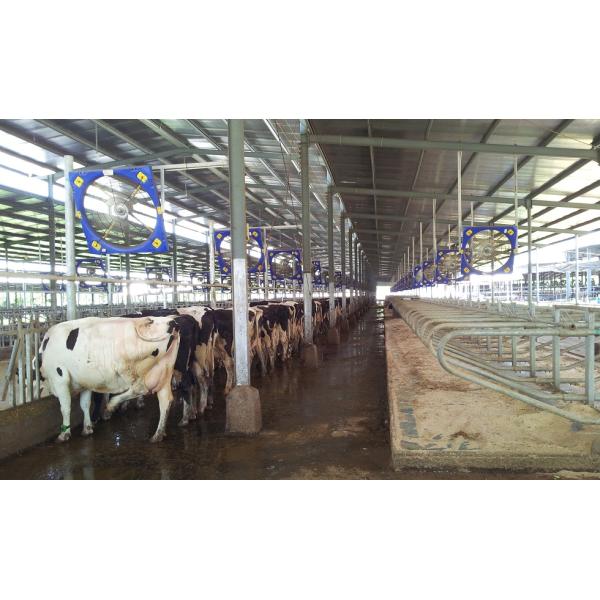 Применимые промышленности Фермы Животные Вентиляционные вентиляторы с двигателем постоянного тока