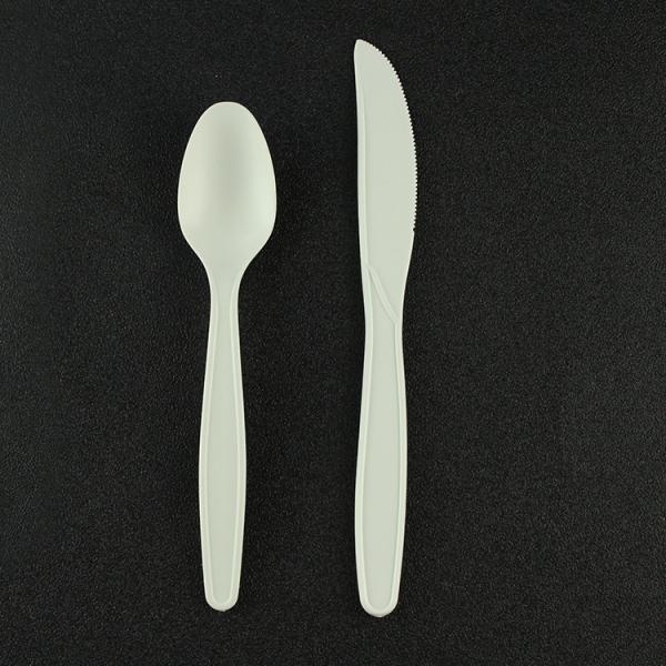 Disposable Spoon Fork Knife Set Biodegradable Option for Catering and Buffet Service
