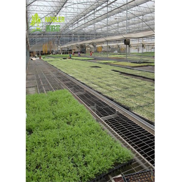 парник длины 1.7м растет кровати, таблица верхней части подноса Суда кровати семени