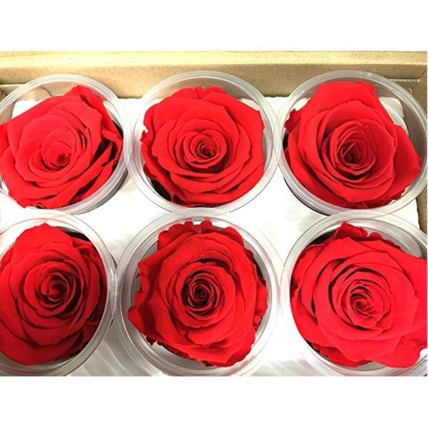 Wholesale preserved rose flower boxes from ecuador farm New year gift