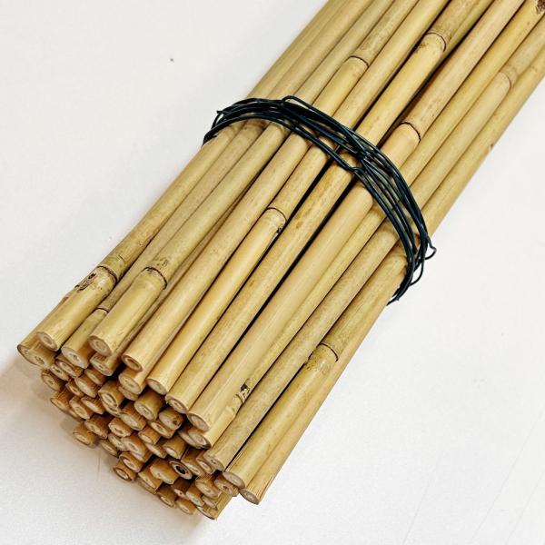 Bamboo Canes Tomato Beans Potted Plants for Indoor and Outdoor Plants Support