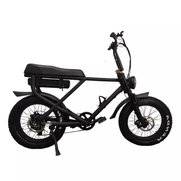 Fat Tyre Electric Bike Snow Beach Fast Speed Customized Electric Bicycle 2 Seats E Bike