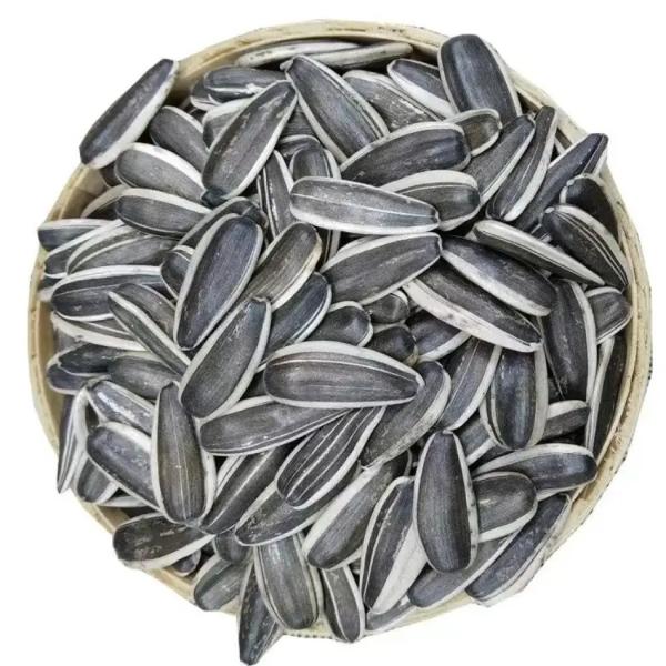 wholesale Dried Sunflower Seeds Factory Direct raw Wholesale T6 Sunflower Seeds