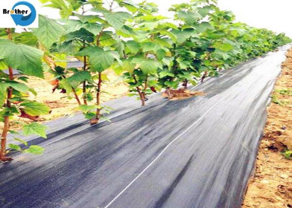 Black Weed Barrier Woven Ground Cover Weed Control Mat Landscaping Fabric