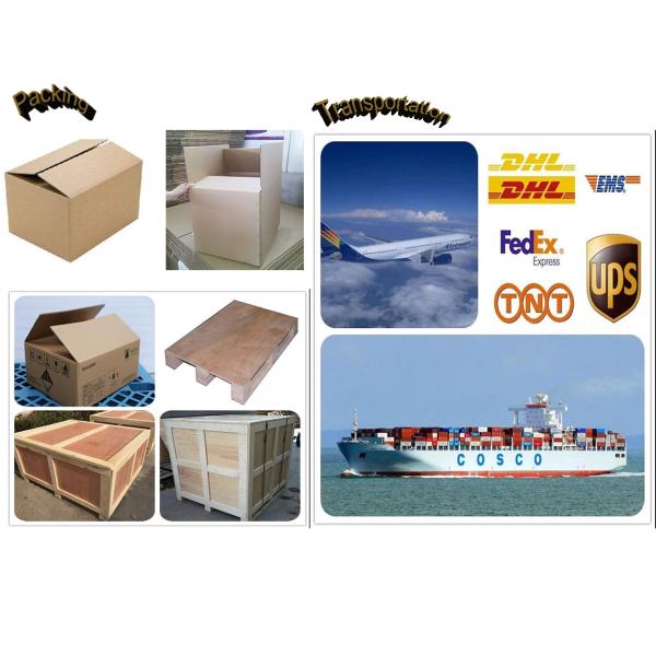 EX200-1 Двигатель для экскаваторов часть 9065944 Мотор с конечным приводом с коробкой передач