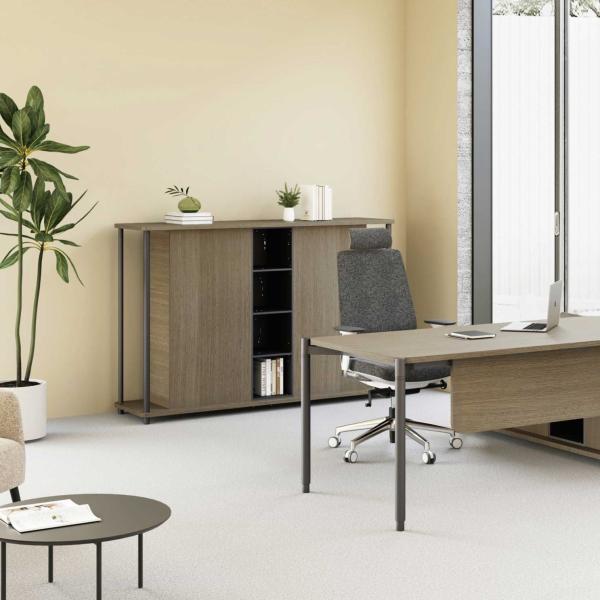 FLEX Sleek Finish Executive Desk Hutch Multi Purpose Shelving Storage Cabinet For Office Spaces