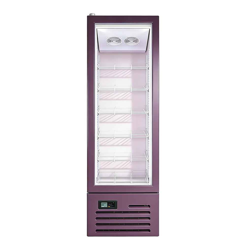 220V Display Glass Door Freezer 600mm Beverage Single Glass Door Freezer