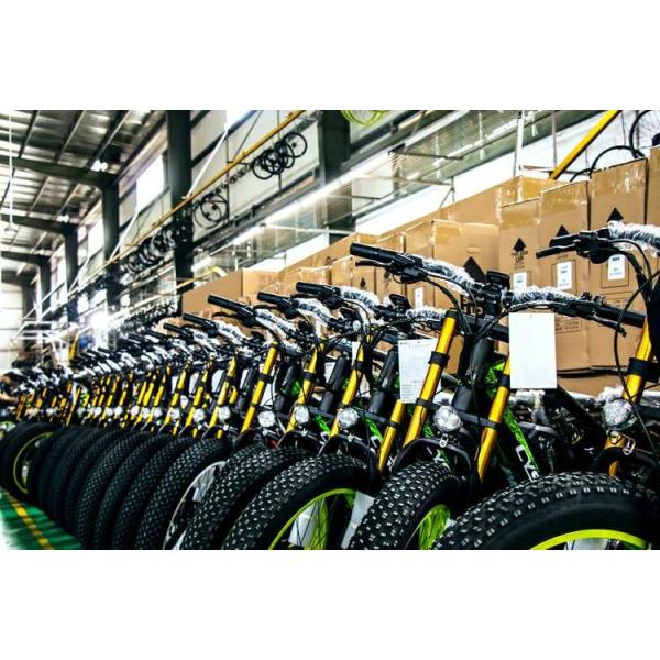 1000w Cargo Fast Fat Tire Electric Bike Motor Brushless 50kmh Velo Cysum M900 Review