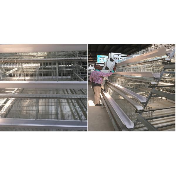 Гальванизированная стальная умная мини система 3birds/Door 5doors клетки птицы