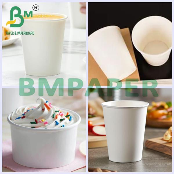 210gsm 230gsm Biodegradable Hot Coffee Tea Cup Paper Raw Material 210gsm 230gsm Biodegradable Hot Coffee Tea Cup Paper Raw Material
