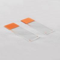 El sistema de documentación funcional del CE del ISO preparó diapositivas anaranjadas del microscopio cubre resbalones